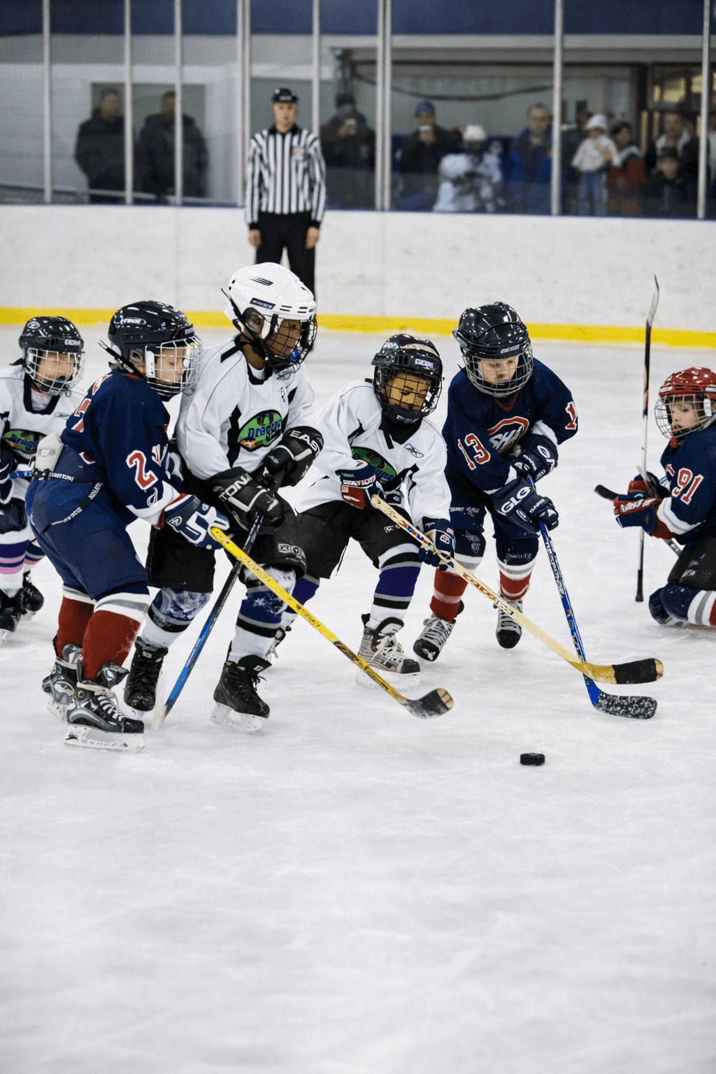 Hockey program background